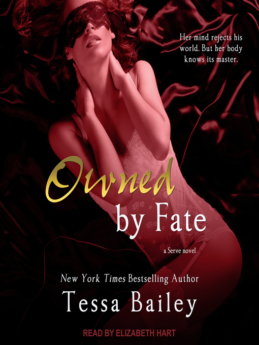 Cover image for Owned by Fate